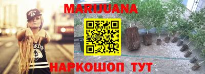 гашик Мариинск
