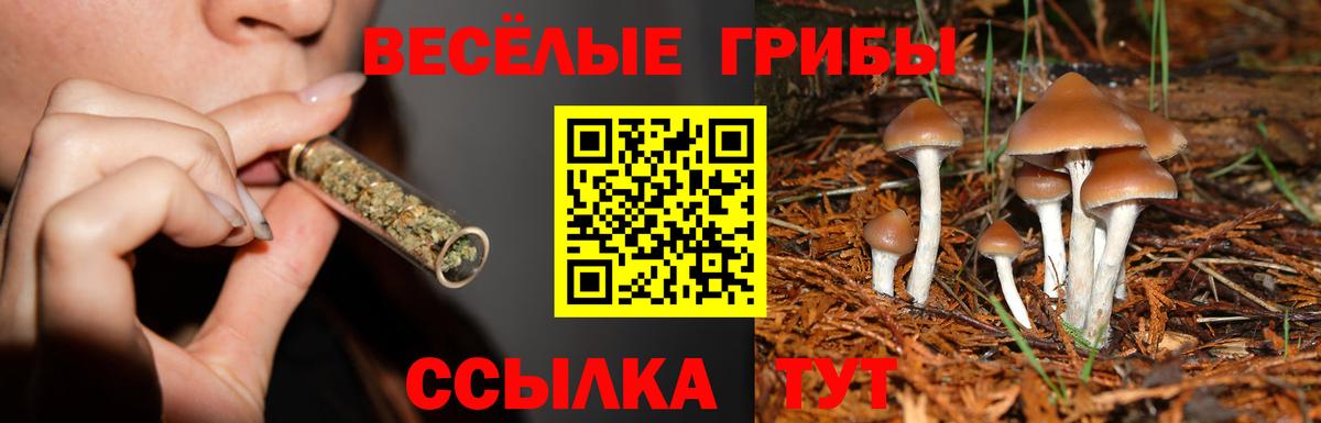 Псилоцибиновые грибы ЛСД  Вход с VPN  Урус-Мартан 