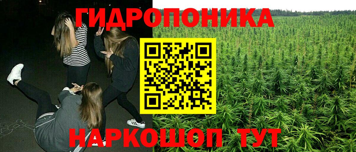Каннабис планчик  Бошки марихуана Amnesia  Урус-Мартан  Бошки марихуана тримм  Вход с VPN 